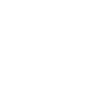 Blue Diamond logo in white