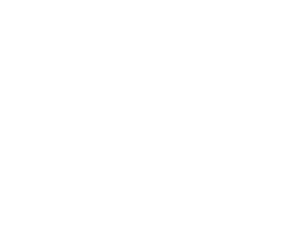 Blue Diamond logo in white