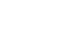 Mission-Euro-logo