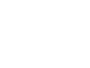 CSC Group Australia white logo